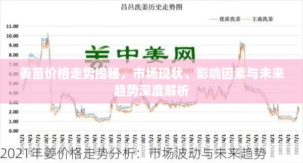 姜苗價格走勢揭秘，市場現狀、影響因素與未來趨勢深度解析