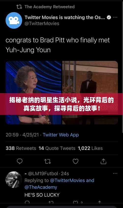 揭秘老納的明星生活小說，光環(huán)背后的真實故事，探尋背后的故事！