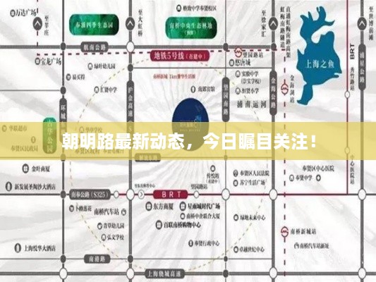 朝明路最新動態(tài)，今日矚目關(guān)注！