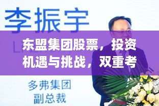 東盟集團(tuán)股票，投資機(jī)遇與挑戰(zhàn)，雙重考量不容錯過