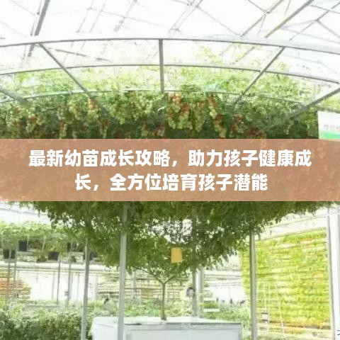 最新幼苗成長(zhǎng)攻略，助力孩子健康成長(zhǎng)，全方位培育孩子潛能