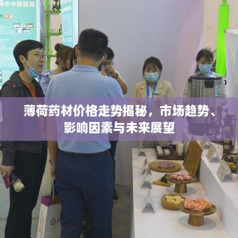 薄荷藥材價(jià)格走勢(shì)揭秘，市場(chǎng)趨勢(shì)、影響因素與未來(lái)展望