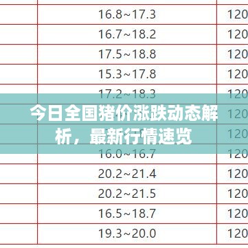 今日全國(guó)豬價(jià)漲跌動(dòng)態(tài)解析，最新行情速覽