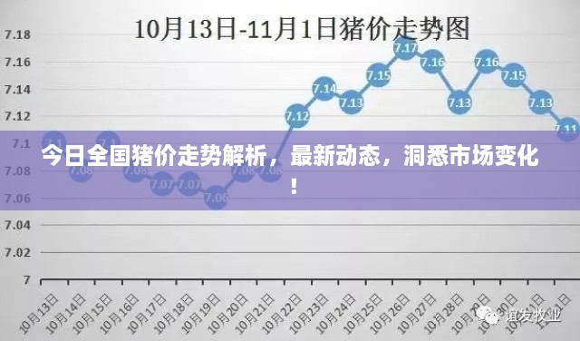 今日全國(guó)豬價(jià)走勢(shì)解析，最新動(dòng)態(tài)，洞悉市場(chǎng)變化！