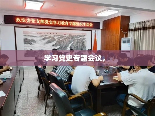 學(xué)習(xí)黨史專(zhuān)題會(huì)議， 