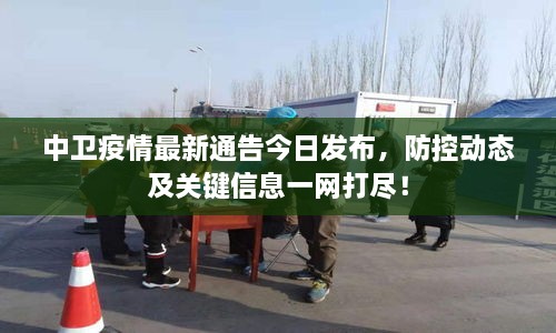 中衛(wèi)疫情最新通告今日發(fā)布，防控動態(tài)及關(guān)鍵信息一網(wǎng)打盡！