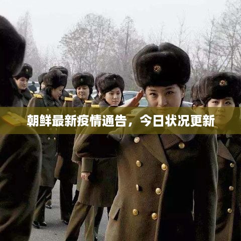 朝鮮最新疫情通告，今日狀況更新