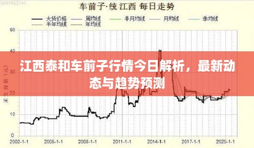 江西泰和車前子行情今日解析，最新動態(tài)與趨勢預(yù)測