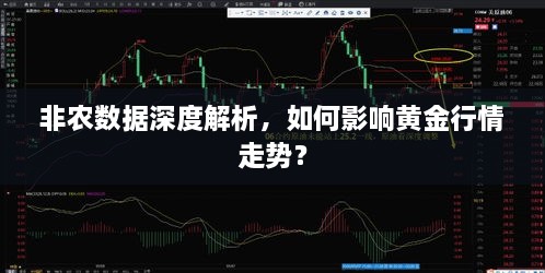 非農(nóng)數(shù)據(jù)深度解析，如何影響黃金行情走勢(shì)？
