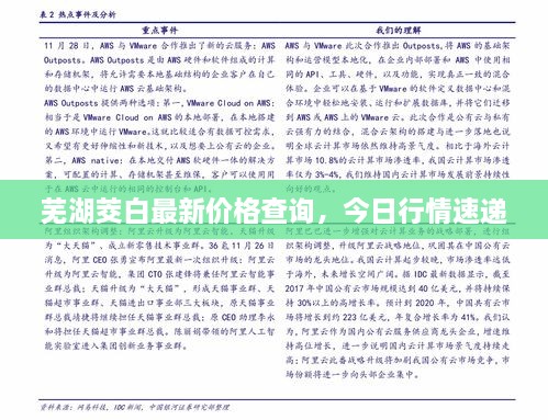 蕪湖茭白最新價(jià)格查詢，今日行情速遞