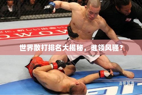 世界散打排名大揭秘，誰(shuí)領(lǐng)風(fēng)騷？