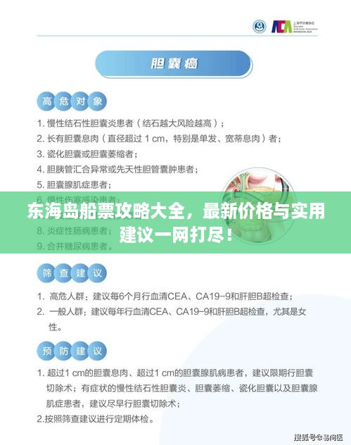 東海島船票攻略大全，最新價(jià)格與實(shí)用建議一網(wǎng)打盡！
