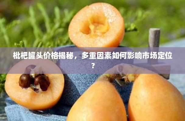 枇杷罐頭價(jià)格揭秘，多重因素如何影響市場(chǎng)定位？
