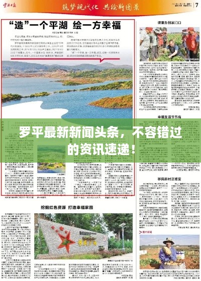 羅平最新新聞頭條，不容錯過的資訊速遞！