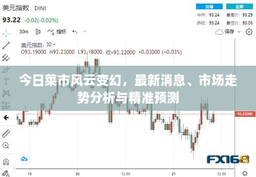 今日菜市風云變幻，最新消息、市場走勢分析與精準預測