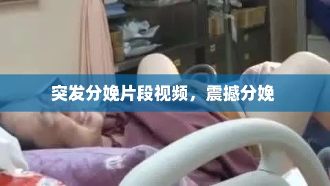 2025年3月 第24頁(yè)