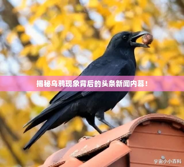 2025年3月 第22頁(yè)