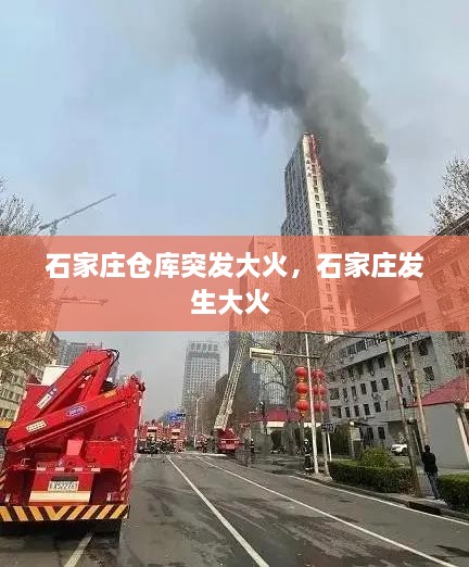 2025年3月 第20頁