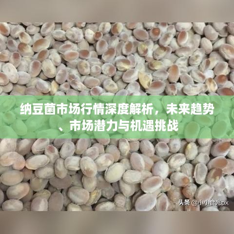 新聞動態(tài) 第14頁