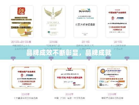 品牌成效不斷彰顯，品牌成就 