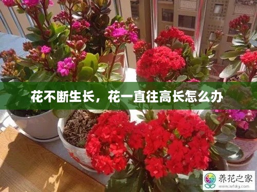 新聞動(dòng)態(tài) 第10頁