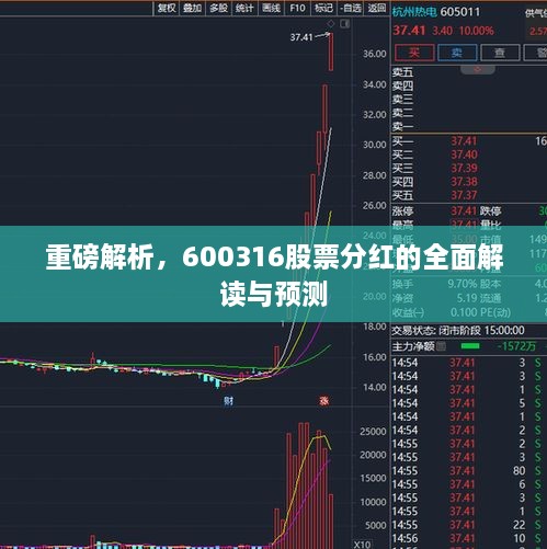 重磅解析，600316股票分紅的全面解讀與預測