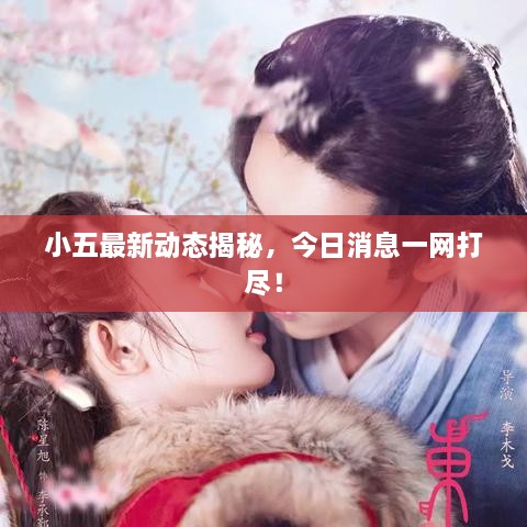 小五最新動(dòng)態(tài)揭秘，今日消息一網(wǎng)打盡！