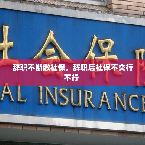 辭職不斷繳社保，辭職后社保不交行不行 
