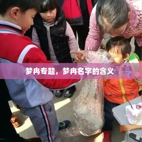 新聞動(dòng)態(tài) 第4頁