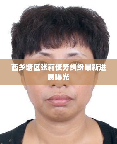 西鄉(xiāng)塘區(qū)張莉債務糾紛最新進展曝光