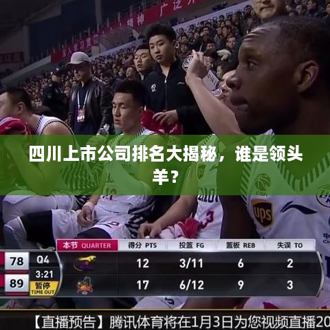 四川上市公司排名大揭秘，誰是領(lǐng)頭羊？