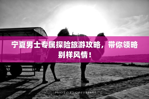 寧夏男士專屬探險旅游攻略，帶你領略別樣風情！