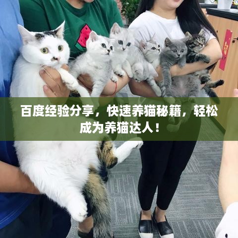 百度經驗分享，快速養(yǎng)貓秘籍，輕松成為養(yǎng)貓達人！
