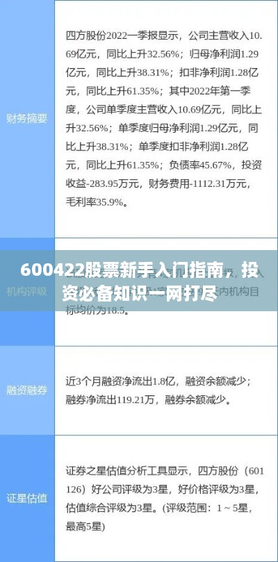 600422股票新手入門指南，投資必備知識一網打盡